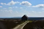 Estland Naturlandschaft – Weite und Grün auf Vanlife-Roadtrip durch das Baltikum