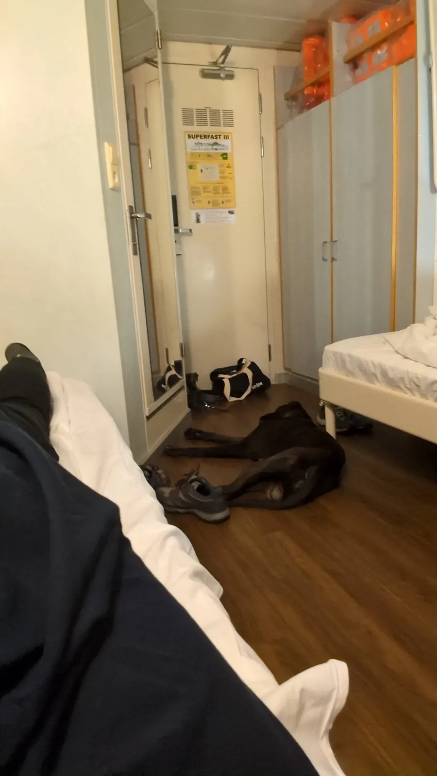 Boxer Bruno liegt in der 4-Bett-Innenkabine mit Haustierfreigabe auf der Superfast III
