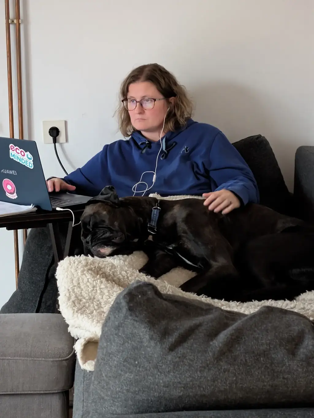 Vera arbeitet am Laptop auf dem Sofa, Boxer Bruno liegt daneben